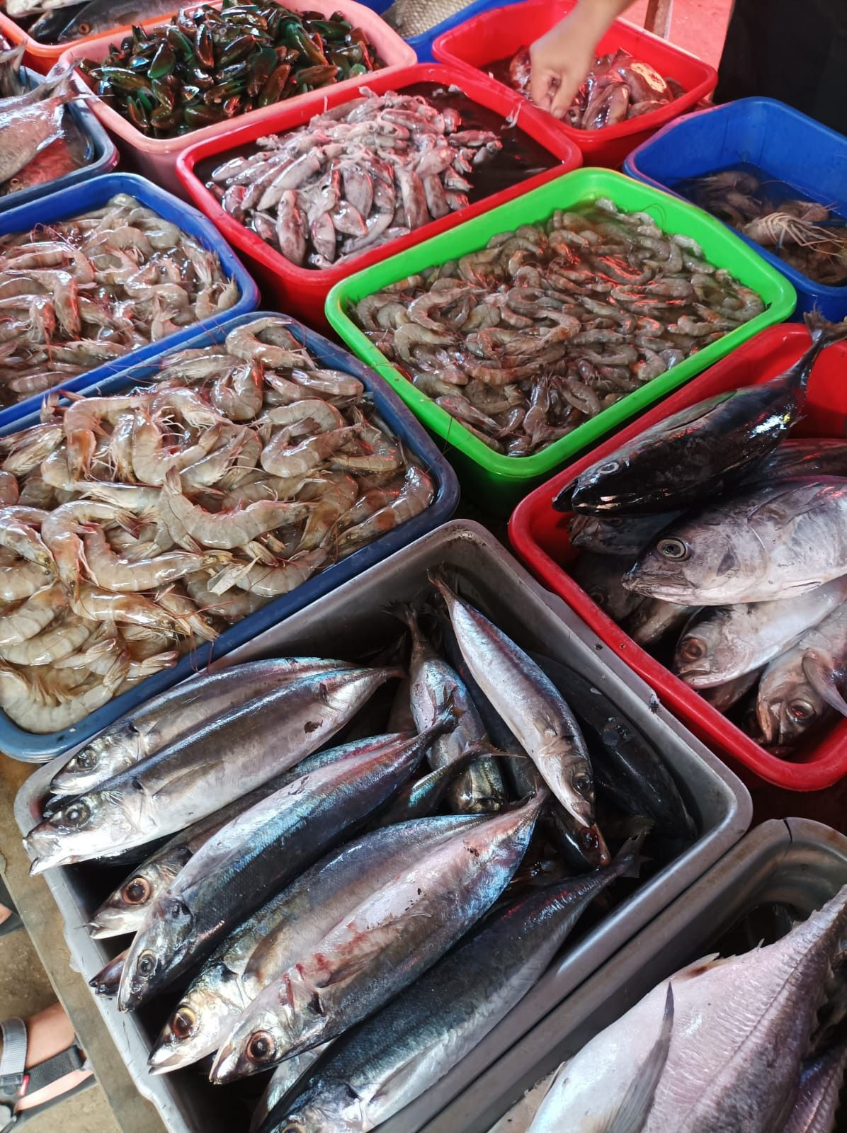 Packaging 1